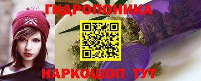 прущие грибы Пенза