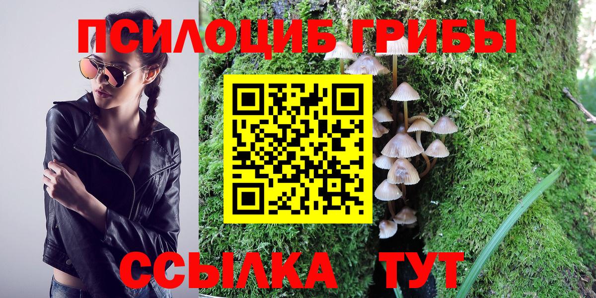 Псилоцибиновые грибы Psilocybe Сланцы