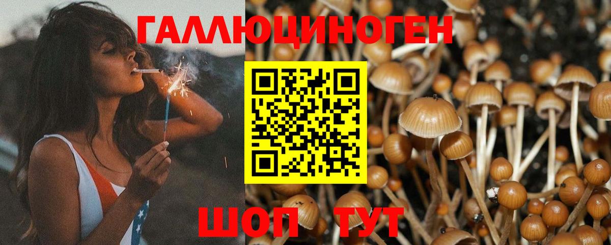 Псилоцибиновые грибы Cubensis  Вход с VPN  Сланцы  Галлюциногенные грибы MAGIC MUSHROOMS 